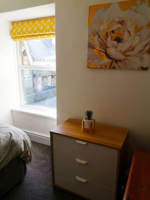 Dol Bach - Your Homely Welsh Cottage In The Heart Of Snowdonia ブライナイ・フェスティニオグ エクステリア 写真