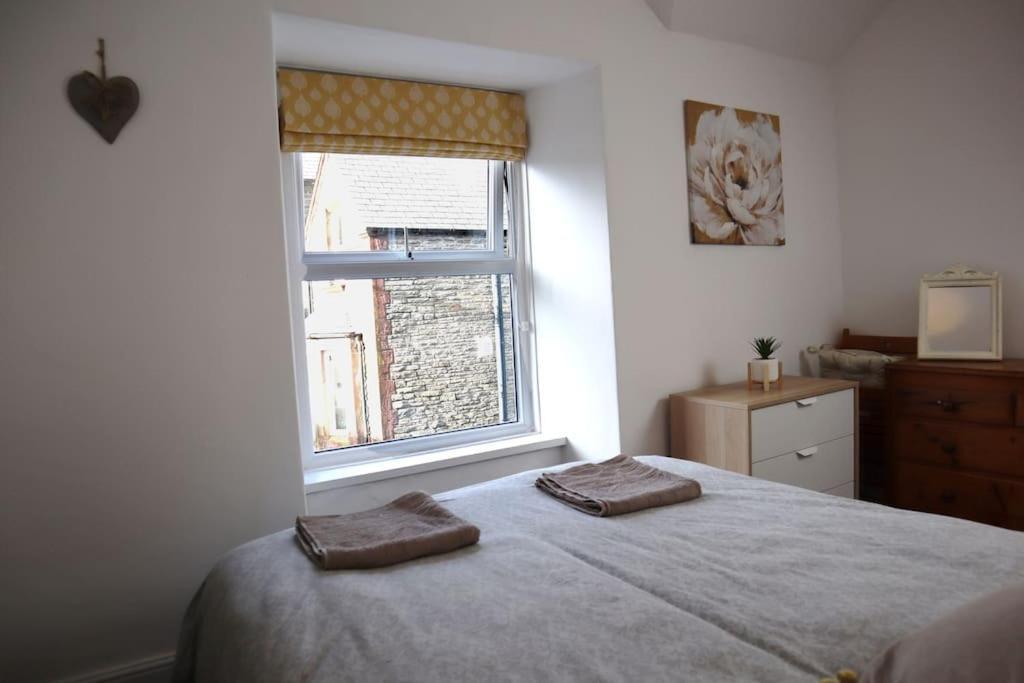 Dol Bach - Your Homely Welsh Cottage In The Heart Of Snowdonia ブライナイ・フェスティニオグ エクステリア 写真