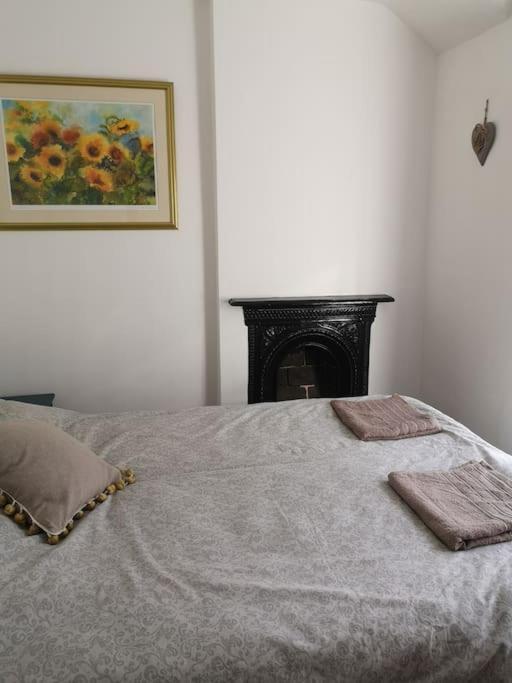 Dol Bach - Your Homely Welsh Cottage In The Heart Of Snowdonia ブライナイ・フェスティニオグ エクステリア 写真