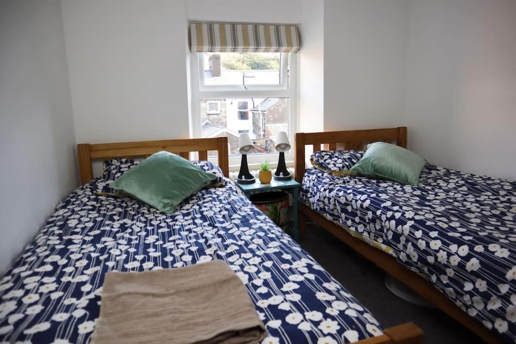 Dol Bach - Your Homely Welsh Cottage In The Heart Of Snowdonia ブライナイ・フェスティニオグ エクステリア 写真