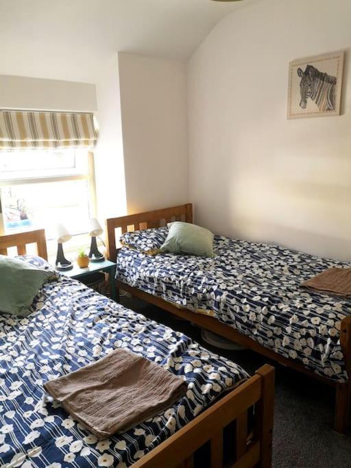 Dol Bach - Your Homely Welsh Cottage In The Heart Of Snowdonia ブライナイ・フェスティニオグ エクステリア 写真