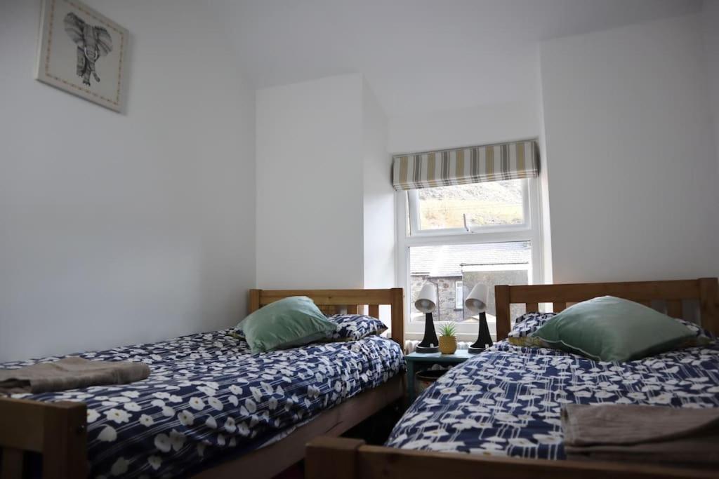 Dol Bach - Your Homely Welsh Cottage In The Heart Of Snowdonia ブライナイ・フェスティニオグ エクステリア 写真