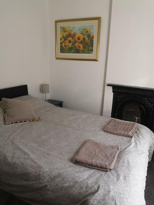 Dol Bach - Your Homely Welsh Cottage In The Heart Of Snowdonia ブライナイ・フェスティニオグ エクステリア 写真